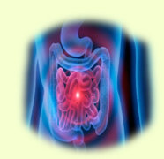 Consejos nutricionales para el intestino inflamado